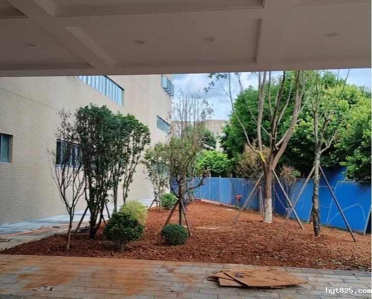 华体会客服电话二期建设工程周报（2025年9月12日）